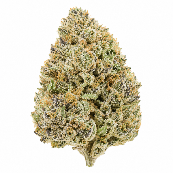 Blue Dream THCA Flower