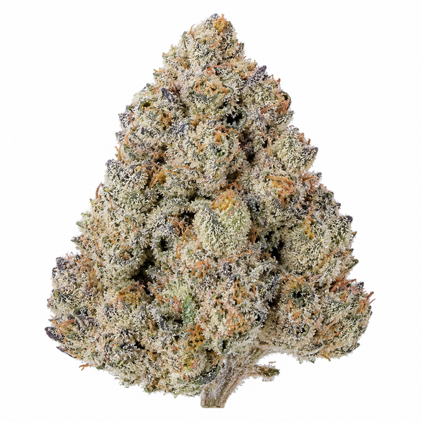 Gorilla Glue THCA Flower