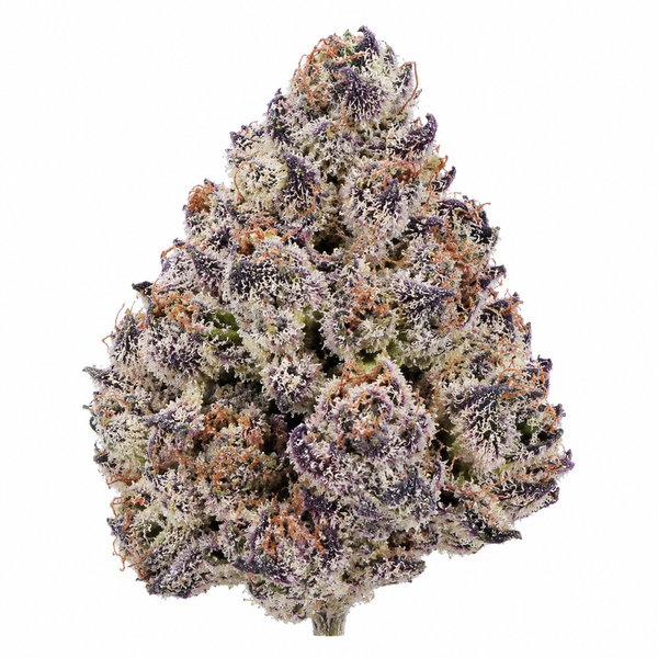 Cereal Milk THCA Flower