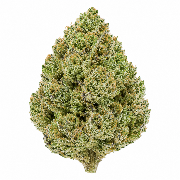 Original Z THCA Flower