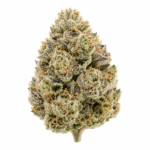 Biscotti THCA Flower